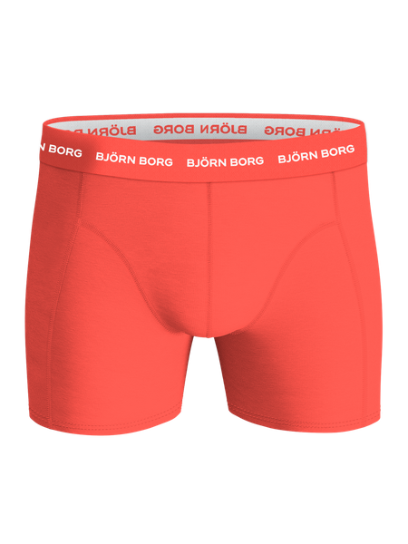 Björn Borg Cotton Stretch boxer 3-pack – mjuk bomull, herr – baksida