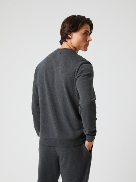 Björn Borg Classic sweatshirt i grå bomullsfleece – baksida