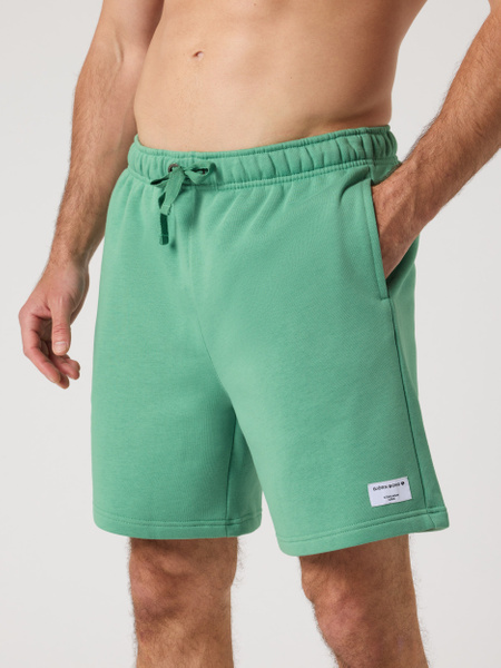 Björn Borg Centre sweatshorts i grönt – mjuk fleece – baksida