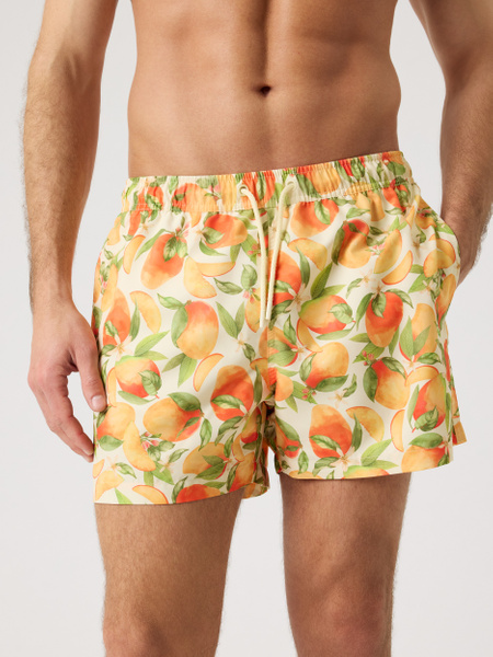 Björn Borg Borg Print Swim Shorts Grön, XXL | Apparel & Accessories - Clothing - Swimwear | ModeLejon