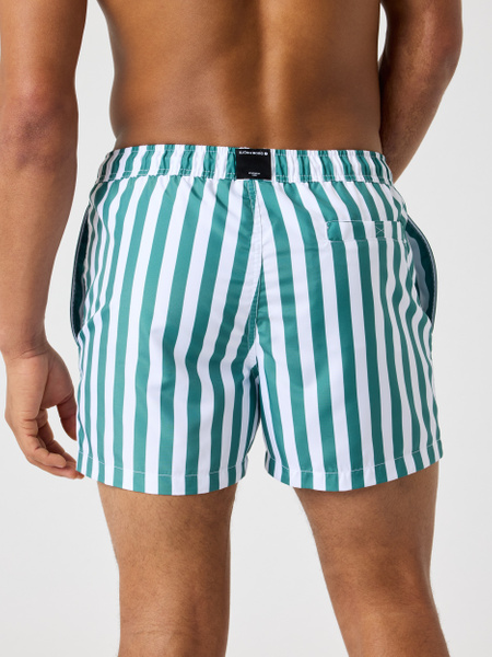 Björn Borg Print badshorts i grönt – lös passform – baksida