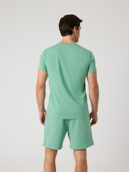 Björn Borg Centre t-shirt herr i bomull med hög hals – grön – baksida