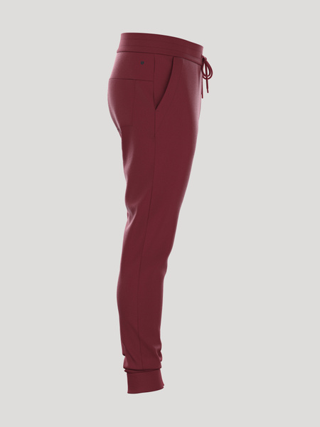 Björn Borg Essential 3 sweatpants i borstad fleece, röd – baksida