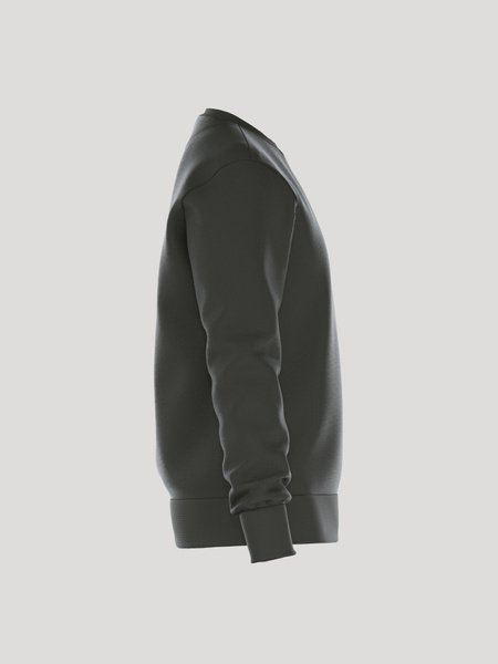 Björn Borg Essential 1 sweatshirt i grönt – baksida