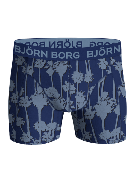 Björn Borg Bamboo boxer herr 2-pack – blå i bambuviskos – baksida