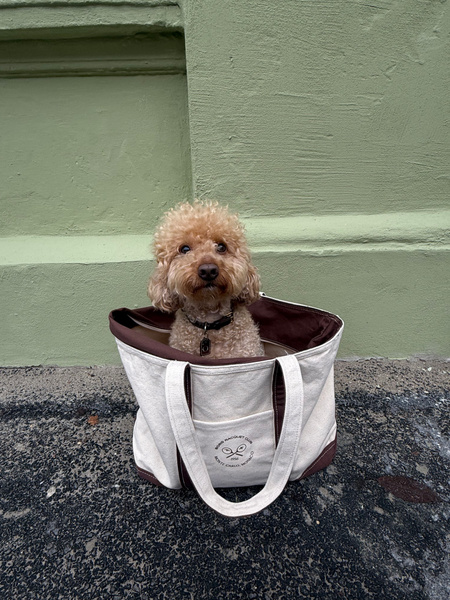 Björn Borg Ace Canvas Tote 30l Wit