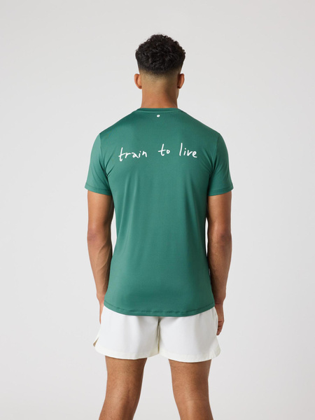 Björn Borg Borg Graphic T-shirt Grön, XXL | Apparel & Accessories - Clothing - Activewear | ModeLejon