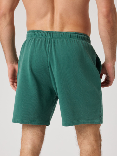 Björn Borg Classic sweatshorts i grönt – french terry – baksida