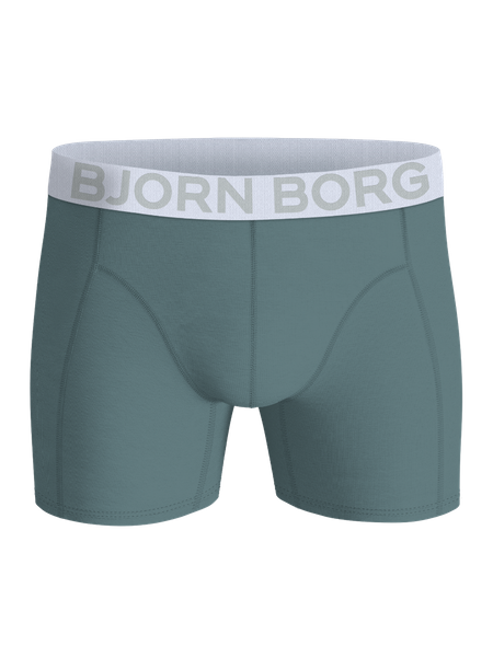 Björn Borg boxer 2-pack i ekologisk bomull, grå – baksida