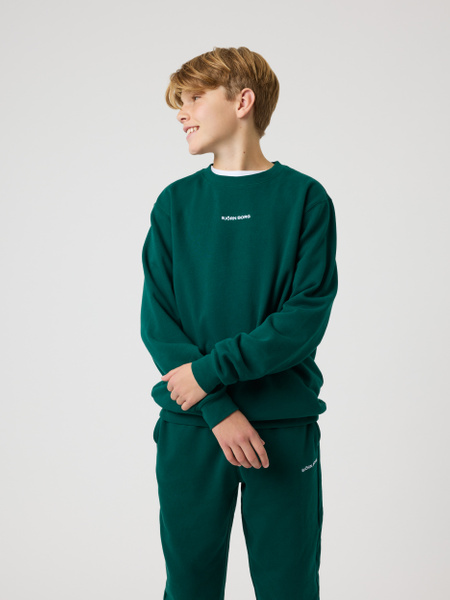 Björn Borg Borg Classic Sweatshirt Grøn, 122-128